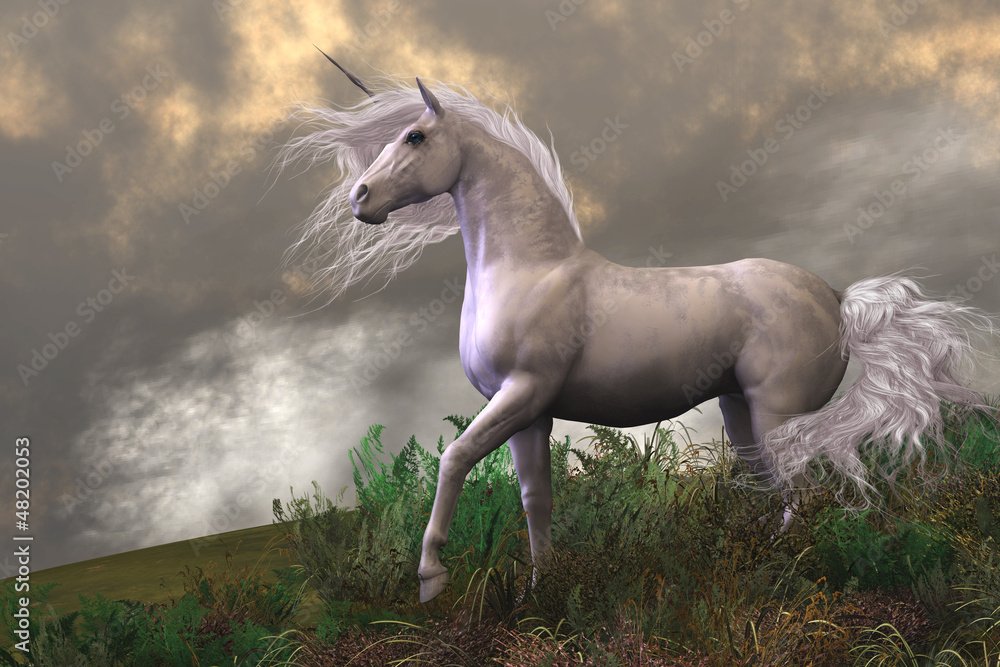 unicorndelight88: A Complete and Honest Guide You Should Read